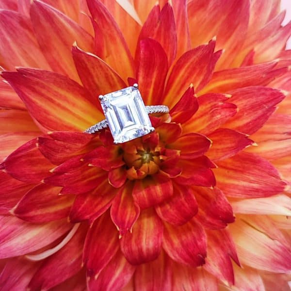 Anillo Carlota - Imagen 6